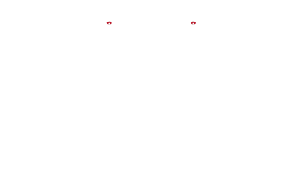 Luigi Bevilacqua - Antica tessitura in Venezia dal 1499